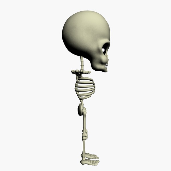 3d cartoon skeleton