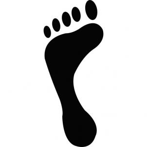 Footprint Drawings - ClipArt Best