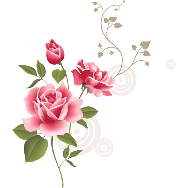 Realistic Spring Rose Flower Vector - Free Vector Art