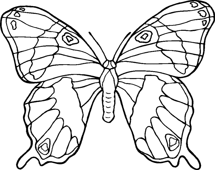Butterfly Outline Printable - AZ Coloring Pages