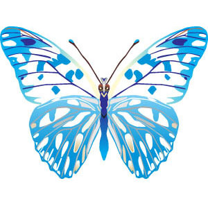 abstract background with blue butterfly photo | Pixmac - Polyvore