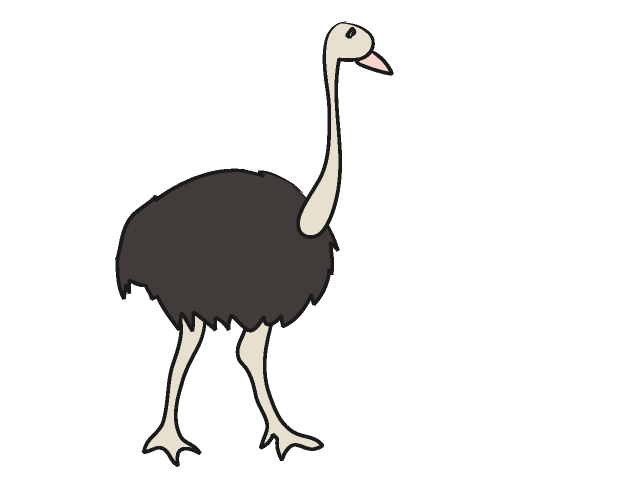 Ostrich Clipart - Free Clipart Images