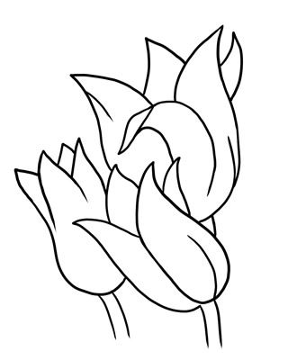 Free clipart images, Tulip and Clip art