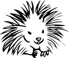 Another adorable porcupine! | tats | Pinterest | Line Drawings ...