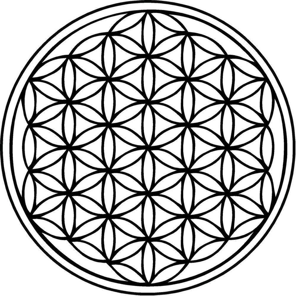The Flower Of Life |
