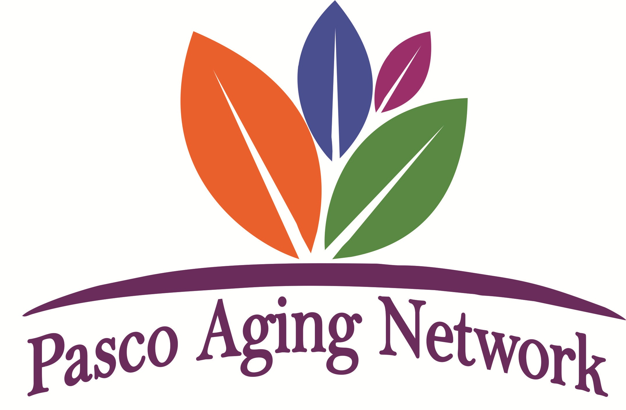 Pasco Aging Network - PAN Bylaws