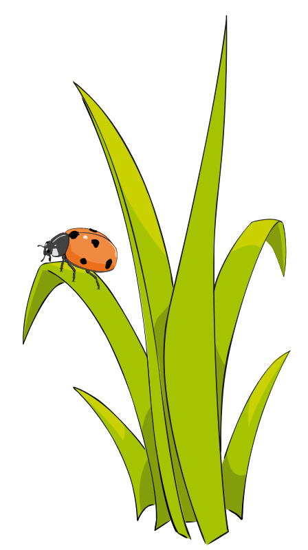 Grass leaves clipart png