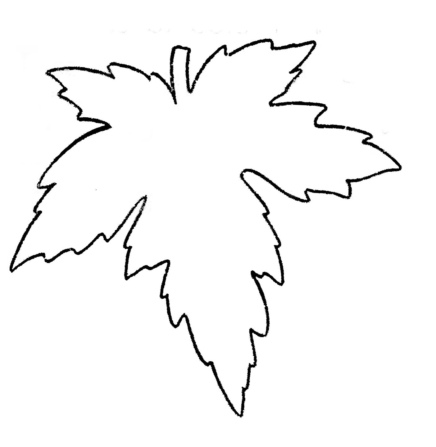 Leaf Outline Template ClipArt Best