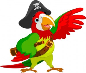 pirate parrot Gallery