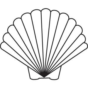 Best Photos of Scallop Shell Drawing - Scallop Shell Clip Art ...