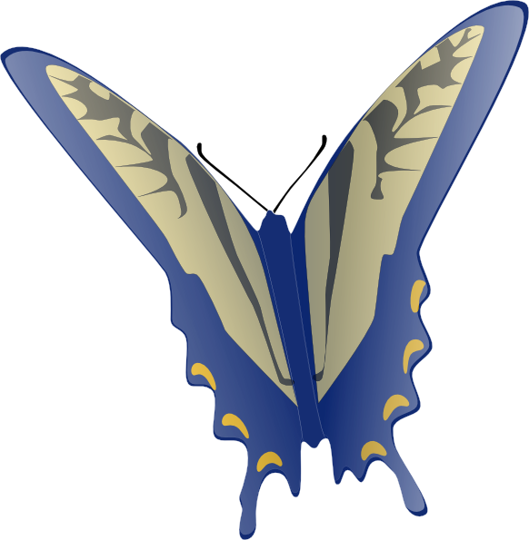 Butterfly clip art Free Vector