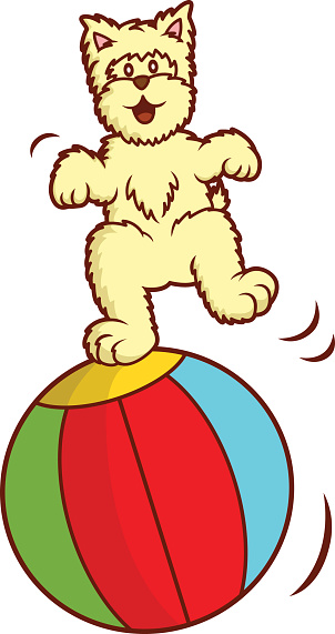 Westie Terrier Clip Art, Vector Images & Illustrations