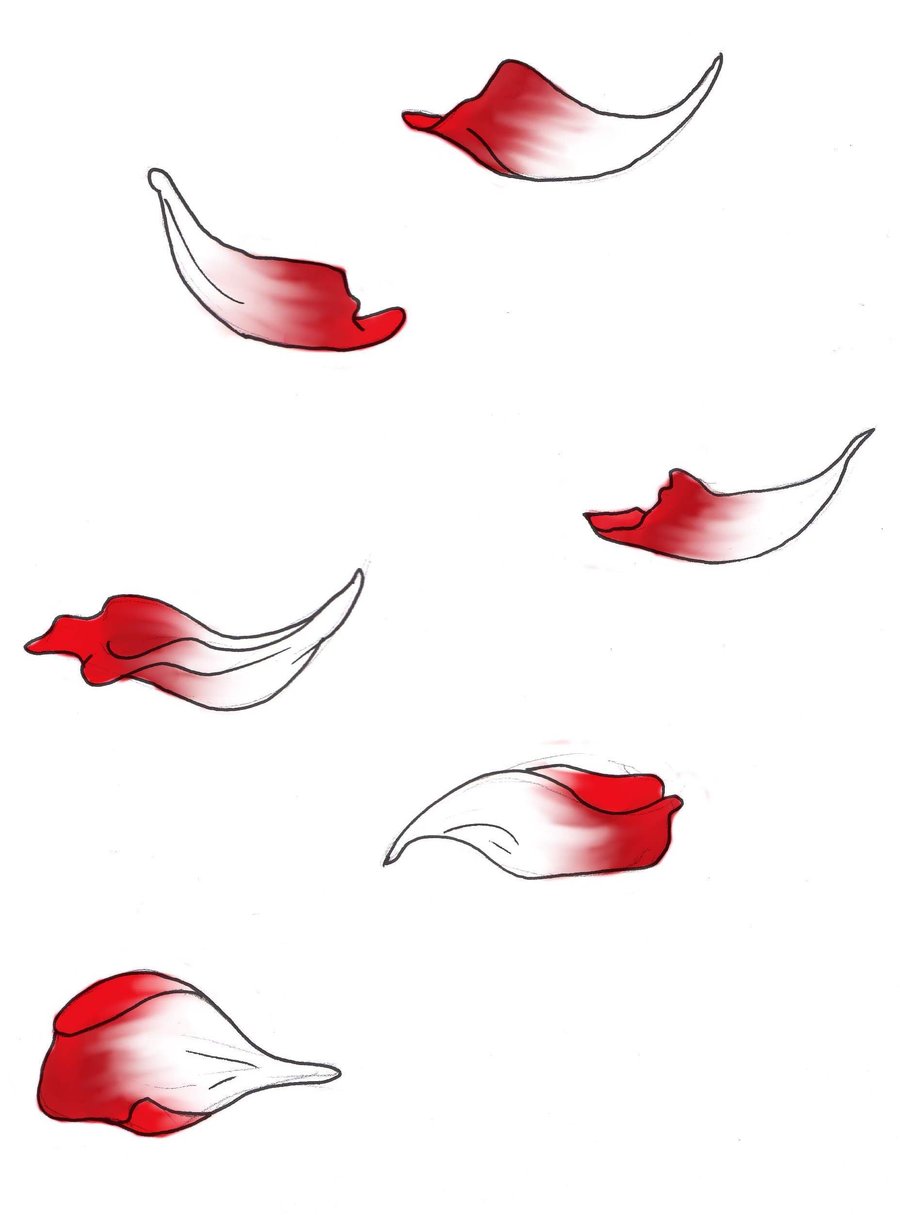 How To Draw Rose Petals Start Drawing The Rose Petals By First Adding 