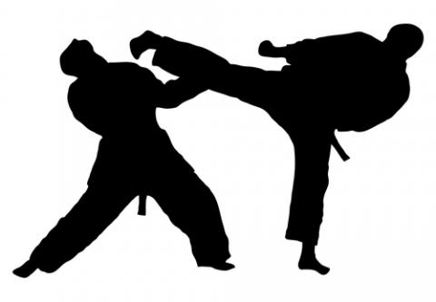 Taekwondo clip art free