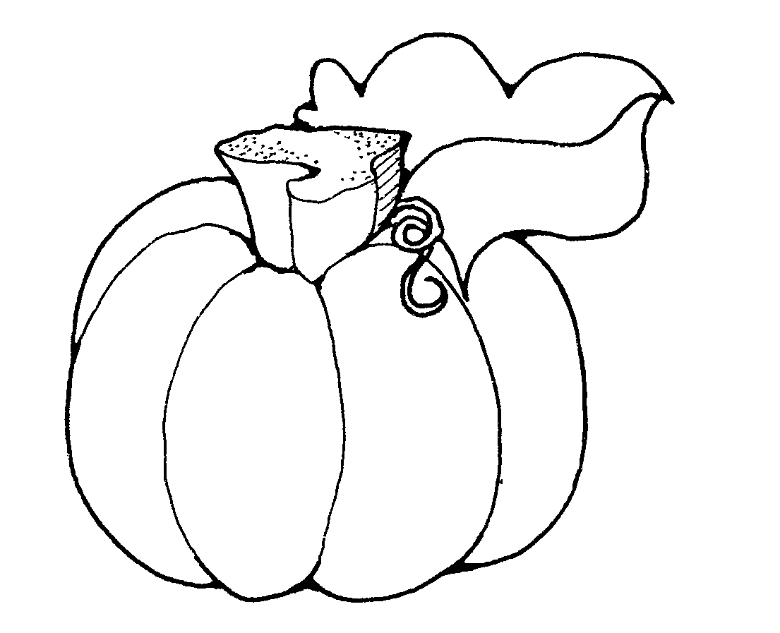 Pumpkin Line Drawing