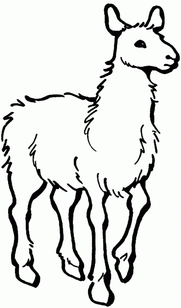 Llama Outline | Free Download Clip Art | Free Clip Art | on ...