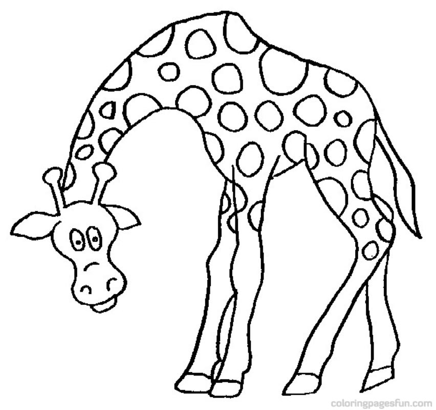 Giraffe Head Coloring Pages - Free Clipart Images