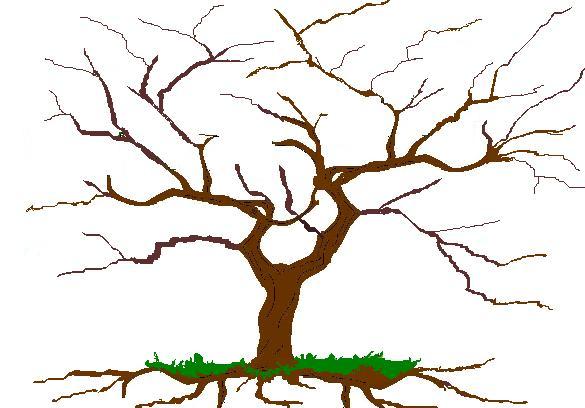 Tree With Branches - ClipArt Best
