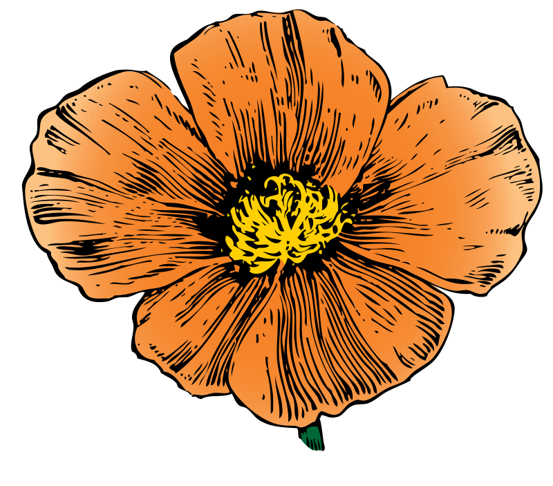 Free California Poppy Clip Art