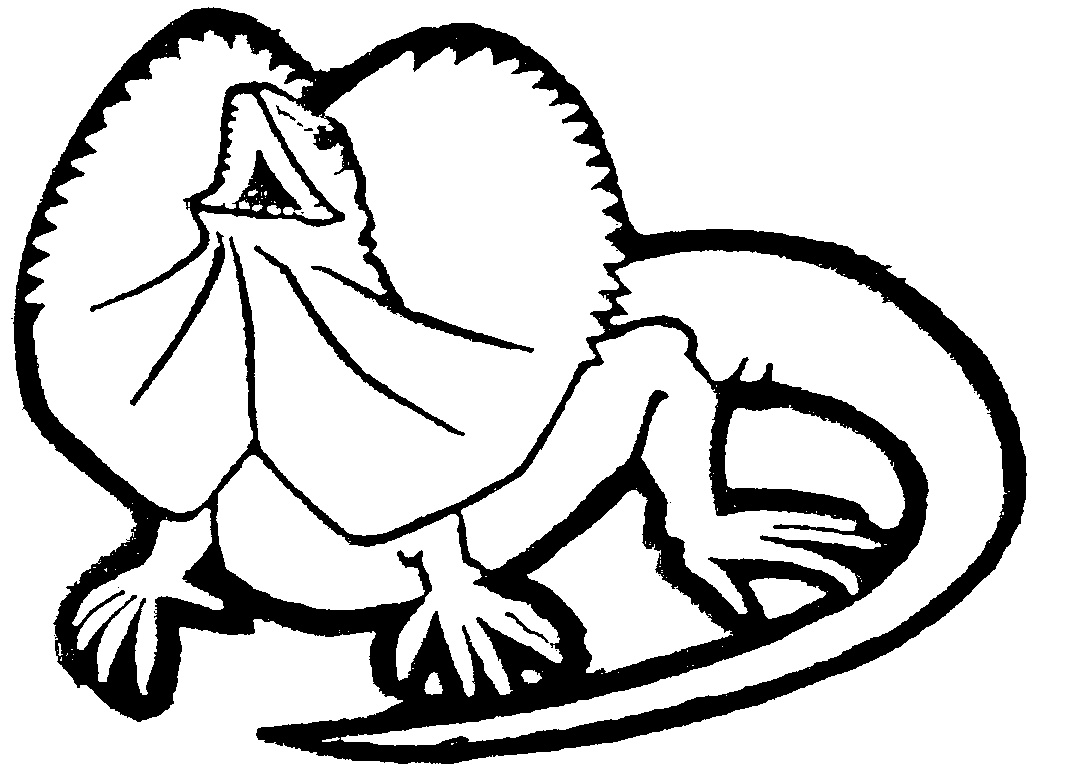 Easy Drawing Of A Lizard - ClipArt Best