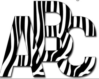 zebras animals