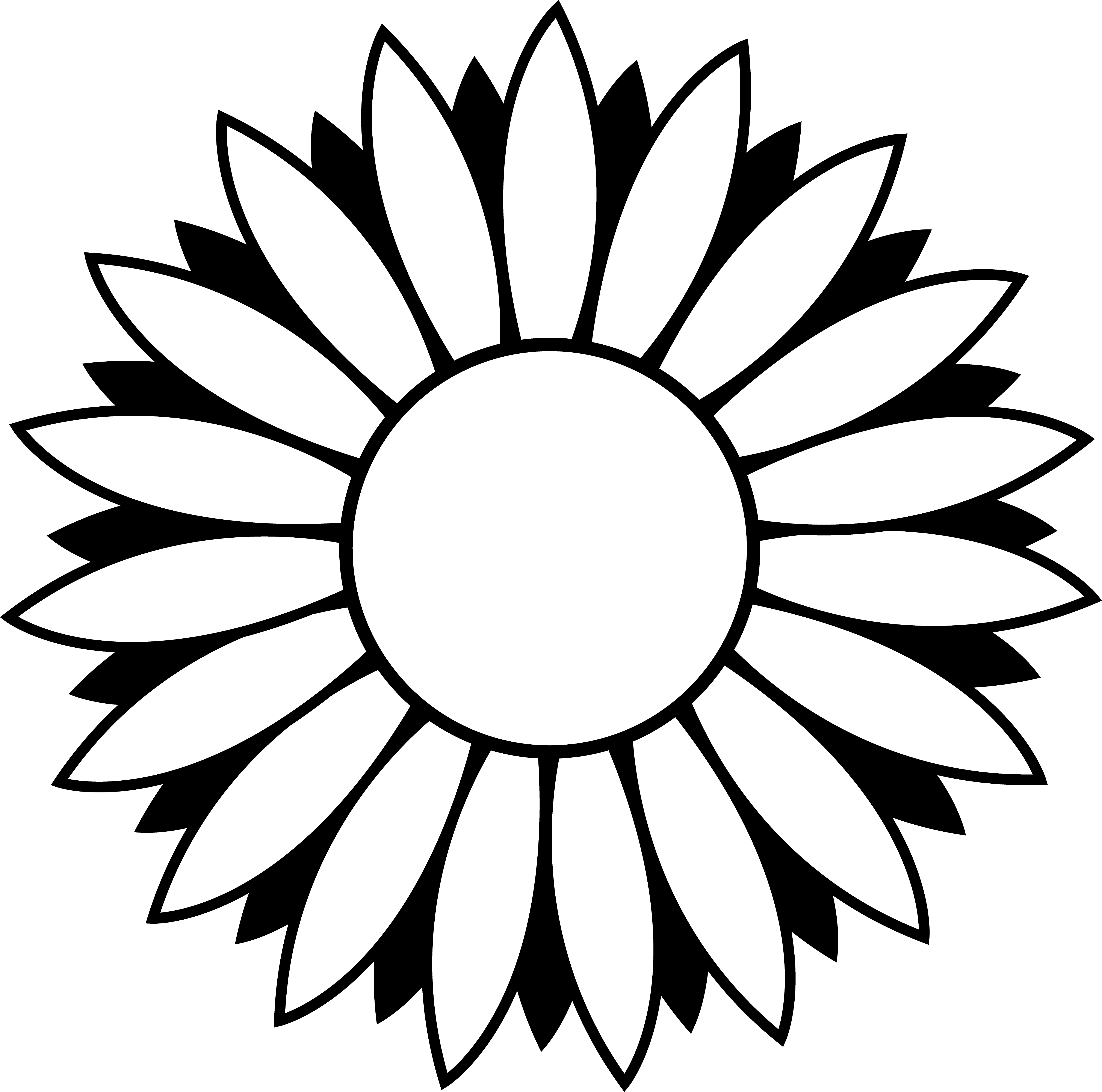 Free black and white flower clipart to color