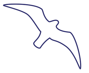 Seagull Template. seagulls flying coloring pages. flying sea gull ...