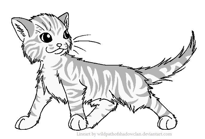 Longhaired Tabby M Lineart by WildpathOfShadowClan on DeviantArt