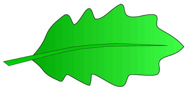 Clip Art Oak Leaf