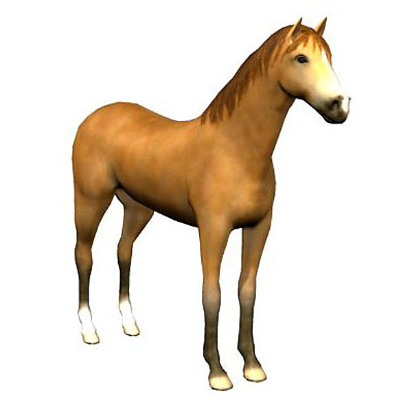 dan dee animated horse