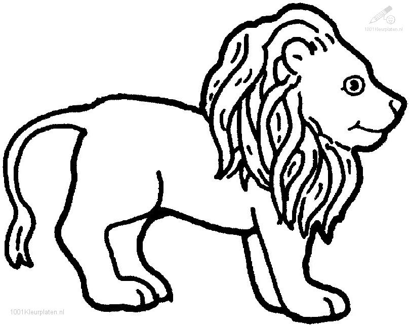 Animals Lion Lion Coloring Page Colors In 3 #10784 | Nest-promise.net