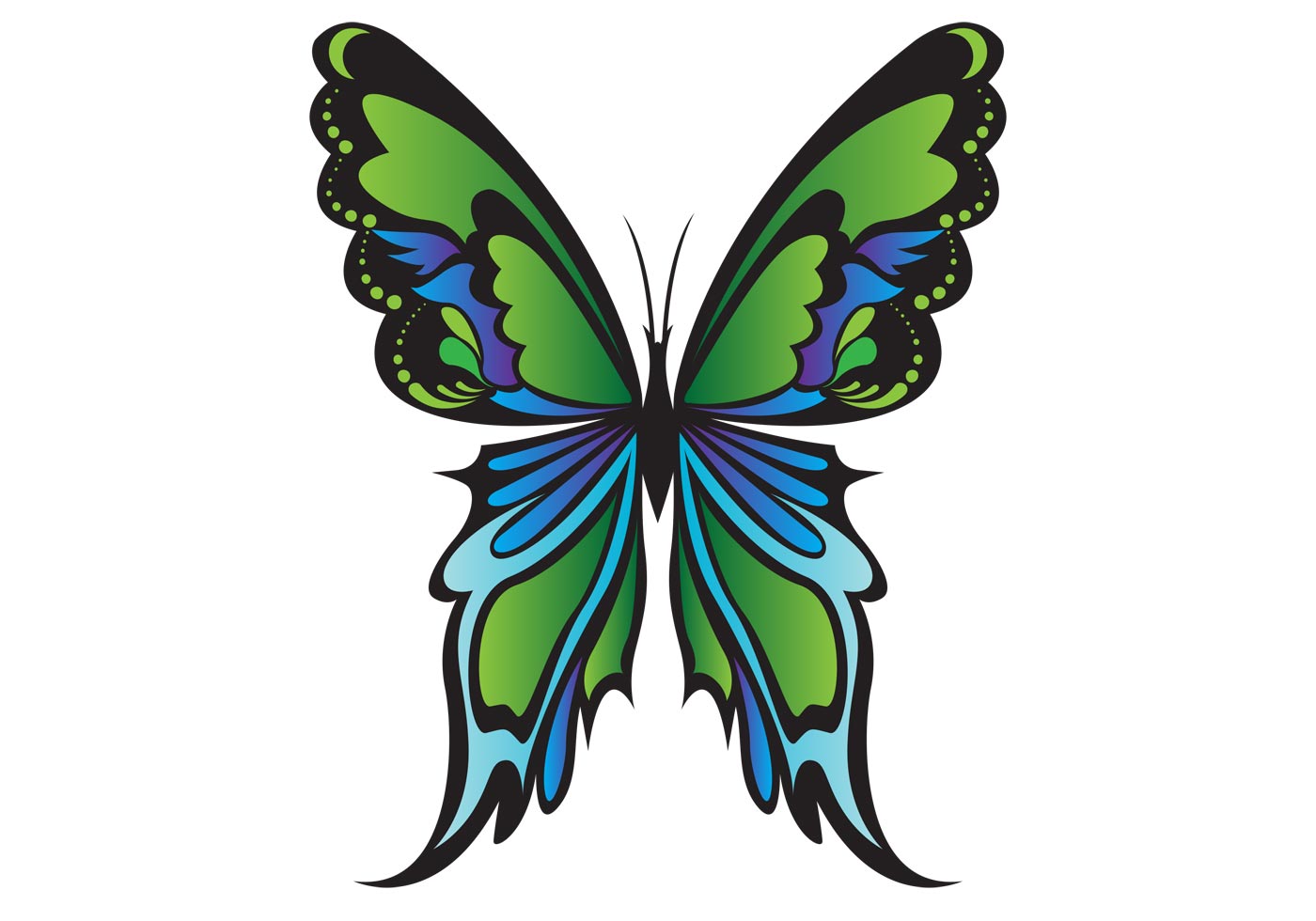 Vector butterfly - Download Free Vector Art, Stock Graphics & Images