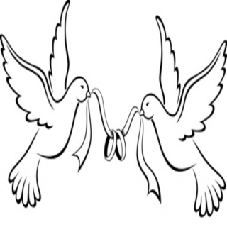 Love Birds Wedding Bands Free Images At Clker Com Vector Clip Art ...