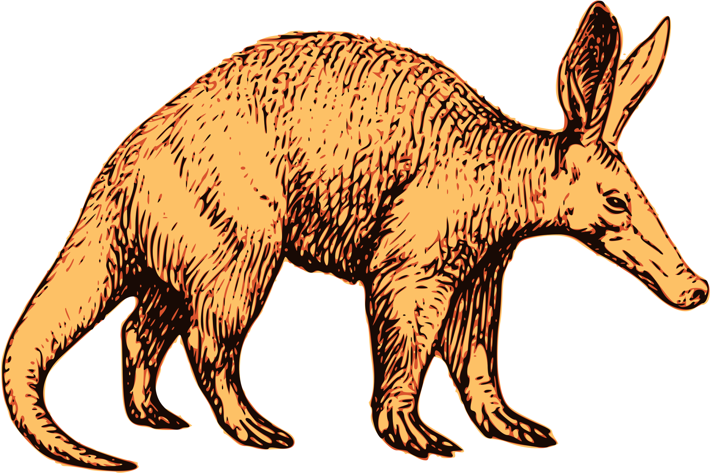 Clipart - Aardvark