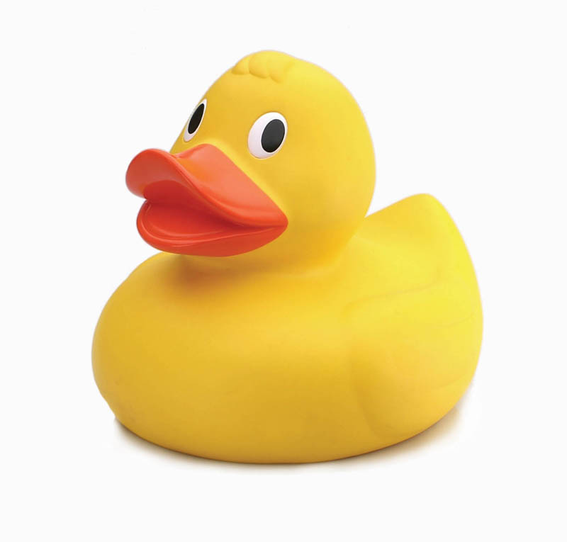 Toy Bath Duck #4246680, 800x765 | All For Desktop