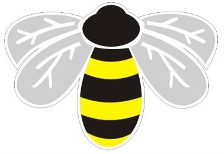 Bumblebee Graphics