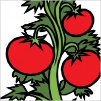 Happy Tomato Plants Clipart