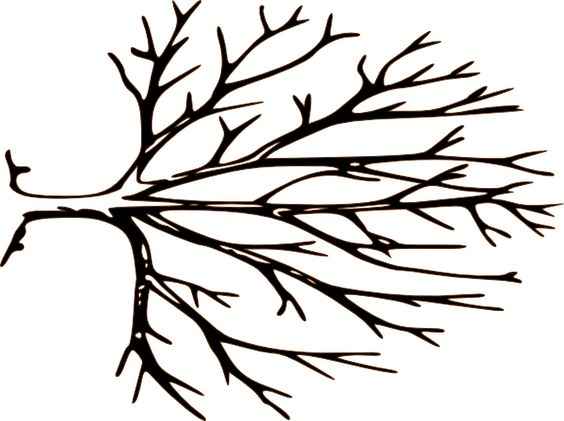 Free dead tree clipart