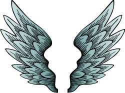 Advanced Wings Clipart for Coat of Arms and Family Crest