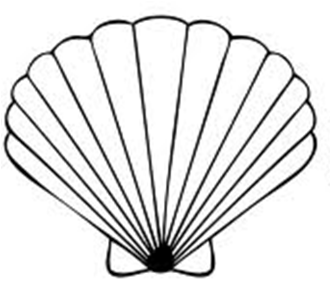 Sea Shells Clipart - ClipArt Best