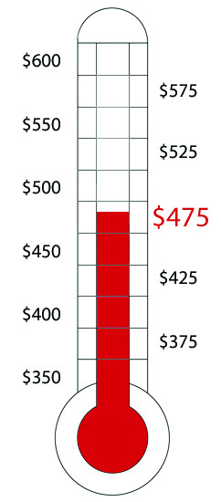 20101108 Goal Thermometer.jpg