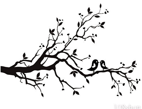 Cherry Blossom Branch Bird Vinyl Wall Decal Wd F image - vector ...