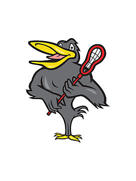 Blackbird With Lacrosse Stick Cartoon " Photographic Prints by ...