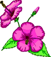 Free Flower Gifs - Flower Animations - Clipart