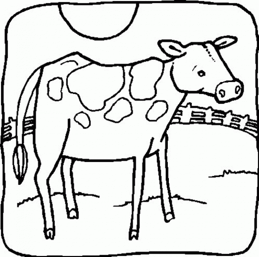 Cow 21st Coloring Pages for Kids ~ Orthokids.