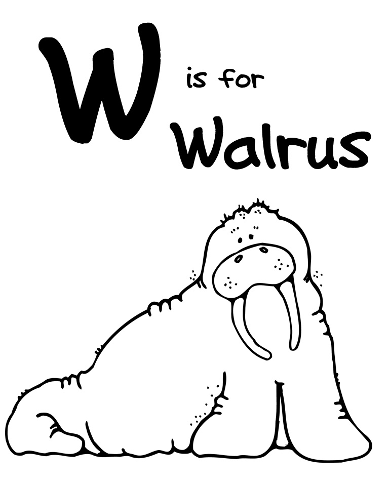 Walrus Clipart Black And White - Free Clipart Images