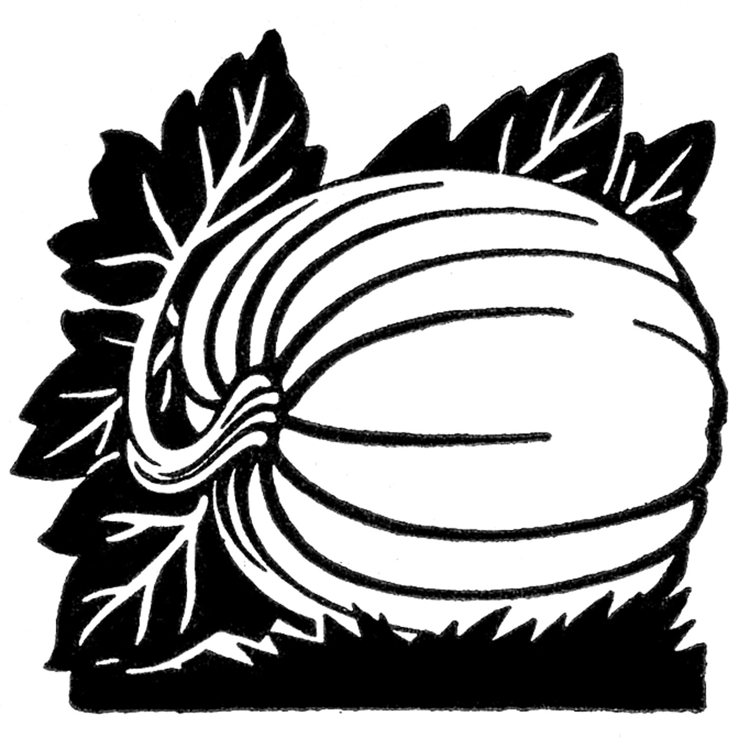 Vine Clipart Black And White - Free Clipart Images