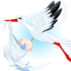 Stork With Baby vector | FreeVectors.net