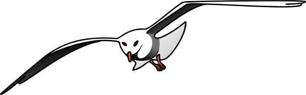 Vector seagulls for free download about (18) vector seagulls. sort ...