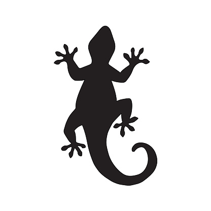 Gecko Tattoos Drawing Clip Art, Vector Images & Illustrations